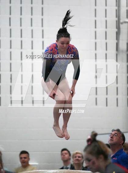 Thumbnail 2 in THSGCA State Meet (Vault- Optional) photogallery.