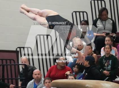 Thumbnail 1 in THSGCA State Meet (Vault- Optional) photogallery.