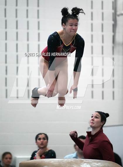 Thumbnail 3 in THSGCA State Meet (Vault- Optional) photogallery.