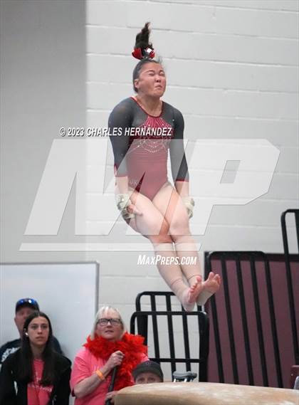 Thumbnail 2 in THSGCA State Meet (Vault- Optional) photogallery.