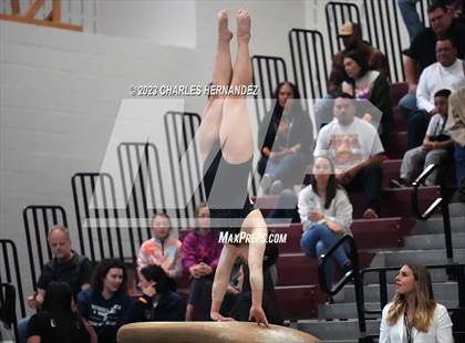 Thumbnail 1 in THSGCA State Meet (Vault- Optional) photogallery.