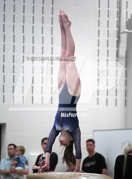 Thumbnail 1 in THSGCA State Meet (Vault- Optional) photogallery.