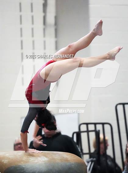 Thumbnail 3 in THSGCA State Meet (Vault- Optional) photogallery.