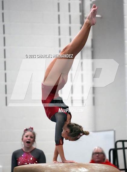 Thumbnail 1 in THSGCA State Meet (Vault- Optional) photogallery.