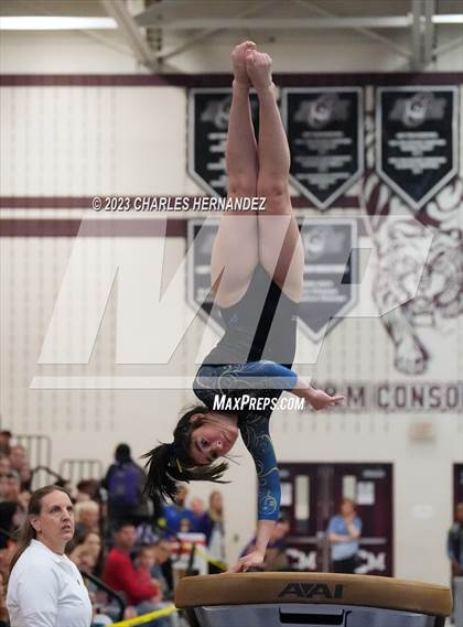 Thumbnail 1 in THSGCA State Meet (Vault- Optional) photogallery.