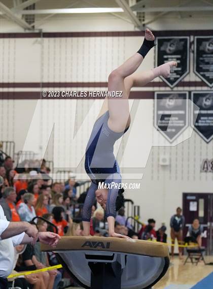 Thumbnail 2 in THSGCA State Meet (Vault- Optional) photogallery.