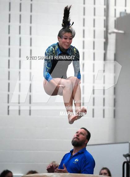 Thumbnail 1 in THSGCA State Meet (Vault- Optional) photogallery.