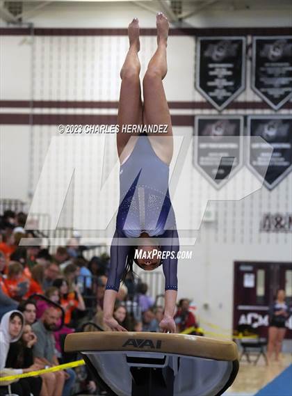 Thumbnail 3 in THSGCA State Meet (Vault- Optional) photogallery.