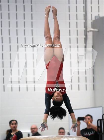 Thumbnail 1 in THSGCA State Meet (Vault- Optional) photogallery.
