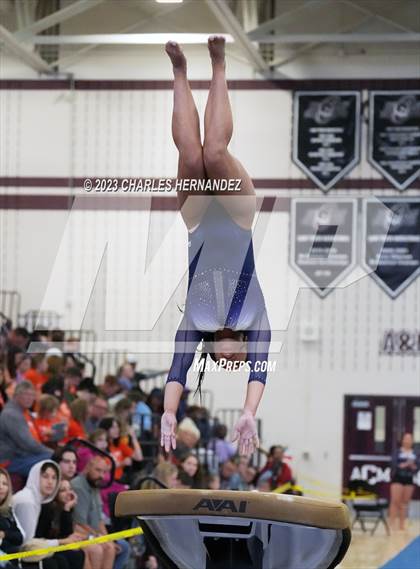Thumbnail 1 in THSGCA State Meet (Vault- Optional) photogallery.