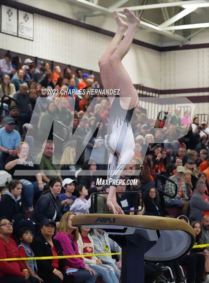 Thumbnail 1 in THSGCA State Meet (Vault- Optional) photogallery.