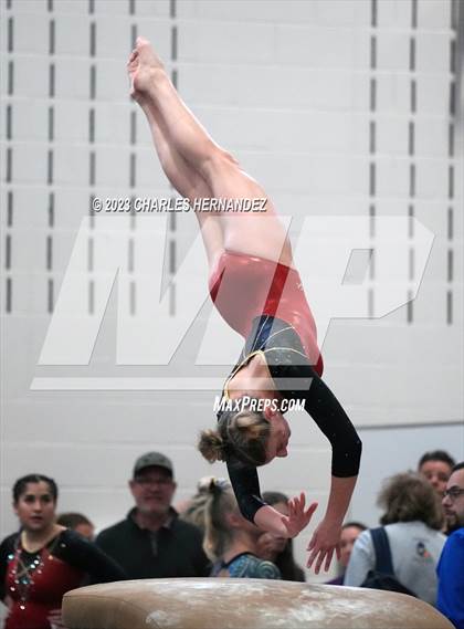 Thumbnail 3 in THSGCA State Meet (Vault- Optional) photogallery.