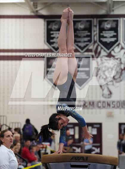 Thumbnail 1 in THSGCA State Meet (Vault- Optional) photogallery.