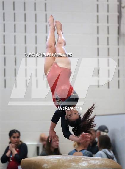 Thumbnail 2 in THSGCA State Meet (Vault- Optional) photogallery.