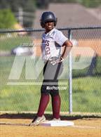 Photo from the gallery "Potts Camp @ Horn Lake"