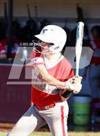 Photo from the gallery "Potts Camp @ Horn Lake"