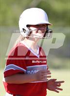 Photo from the gallery "Potts Camp @ Horn Lake"