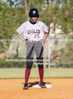 Photo from the gallery "Potts Camp @ Horn Lake"