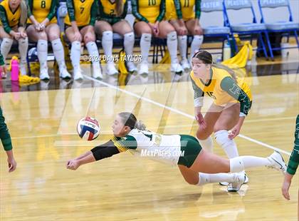 Thumbnail 3 in Boyd @ Peaster photogallery.