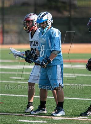 Thumbnail 1 in Sparta @ Nutley photogallery.