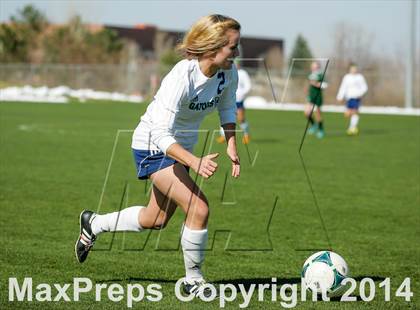 Thumbnail 2 in George Washington @ Standley Lake photogallery.