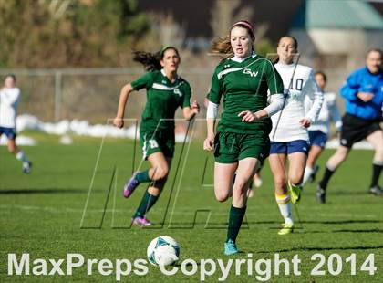 Thumbnail 2 in George Washington @ Standley Lake photogallery.