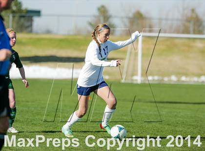 Thumbnail 1 in George Washington @ Standley Lake photogallery.