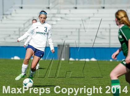 Thumbnail 1 in George Washington @ Standley Lake photogallery.