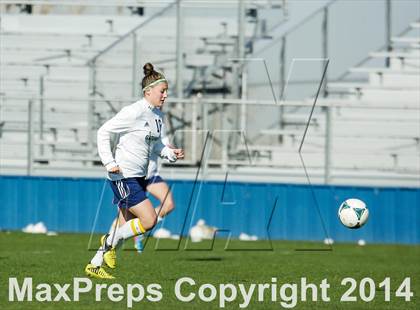 Thumbnail 1 in George Washington @ Standley Lake photogallery.