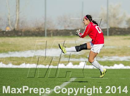 Thumbnail 2 in George Washington @ Standley Lake photogallery.
