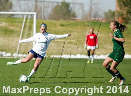 Thumbnail 2 in George Washington @ Standley Lake photogallery.