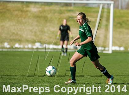 Thumbnail 1 in George Washington @ Standley Lake photogallery.