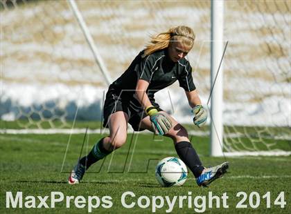 Thumbnail 1 in George Washington @ Standley Lake photogallery.