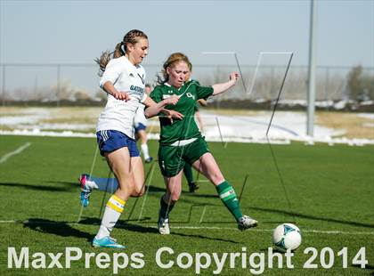 Thumbnail 1 in George Washington @ Standley Lake photogallery.