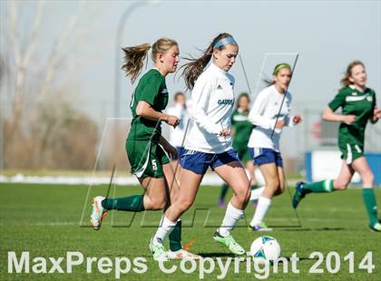 Thumbnail 1 in George Washington @ Standley Lake photogallery.