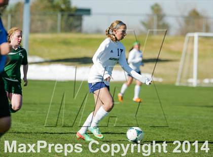 Thumbnail 2 in George Washington @ Standley Lake photogallery.