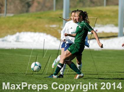 Thumbnail 1 in George Washington @ Standley Lake photogallery.
