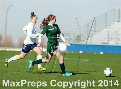 Thumbnail 1 in George Washington @ Standley Lake photogallery.