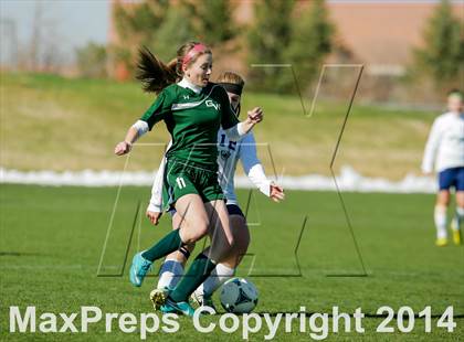 Thumbnail 2 in George Washington @ Standley Lake photogallery.