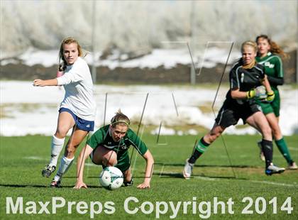 Thumbnail 2 in George Washington @ Standley Lake photogallery.