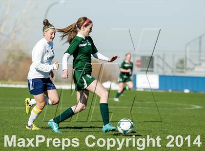 Thumbnail 3 in George Washington @ Standley Lake photogallery.