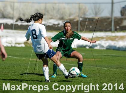 Thumbnail 2 in George Washington @ Standley Lake photogallery.