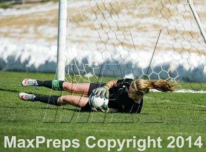 Thumbnail 3 in George Washington @ Standley Lake photogallery.