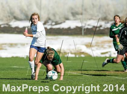 Thumbnail 3 in George Washington @ Standley Lake photogallery.