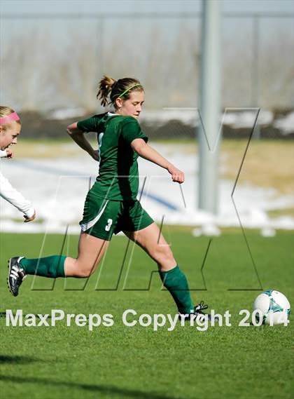 Thumbnail 3 in George Washington @ Standley Lake photogallery.
