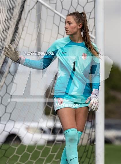 Thumbnail 3 in Regis Jesuit @ Mountain Vista photogallery.