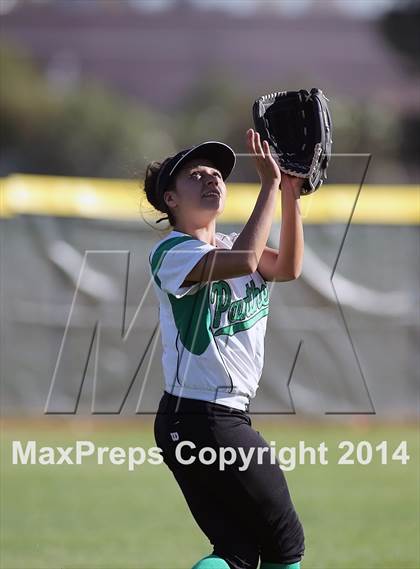 Thumbnail 1 in Sahuarita @ Amphitheater photogallery.
