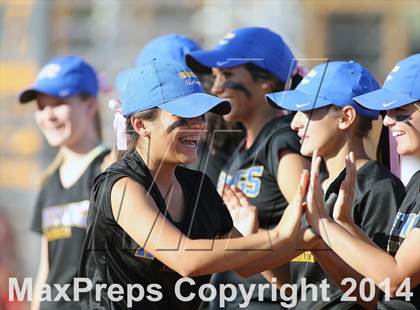 Thumbnail 1 in Sahuarita @ Amphitheater photogallery.