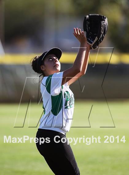 Thumbnail 2 in Sahuarita @ Amphitheater photogallery.