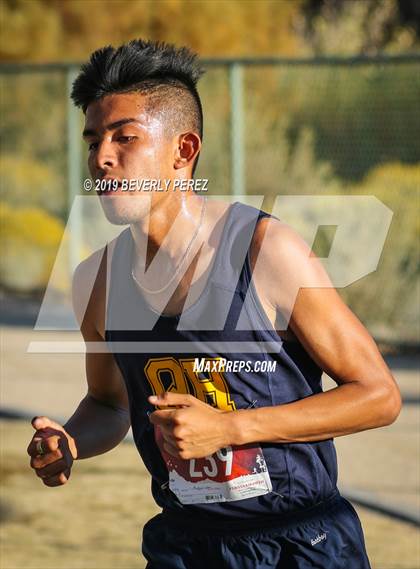 Thumbnail 3 in Golden League Finals photogallery.
